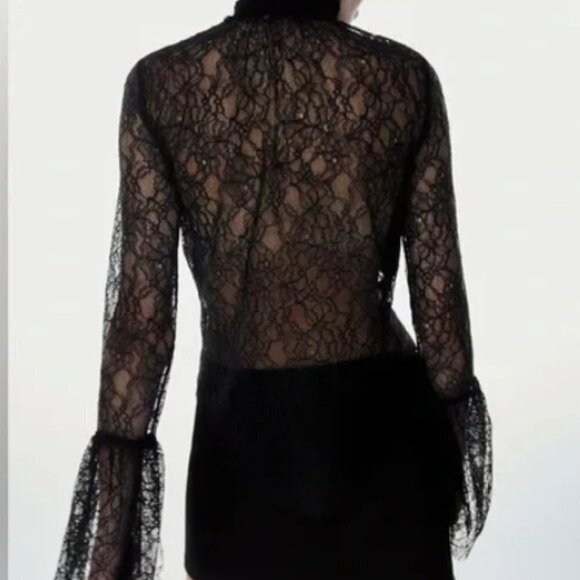 ZARA NWOT Black Lace Bohemian Sheer Flare Long Sleeve High Neck Top Size Medium - Picture 2 of 14